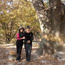 동호마을 이미지