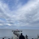 장기식당 | 포항 가볼만한 곳,맛집 추천 이가리닻전망대/스페이스워크/장기식당 후기