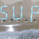 한국해양소년단부산연맹 연합뉴스