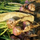 언덕위의 하얀집 이미지