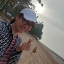 톱머리리조트 이미지