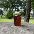 양구벌꿀 이미지