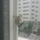 가은동물농장 이미지