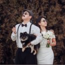 발산 | 발산 두피문신, 신부관리 후기