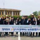 화이트돌핀 이미지