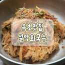 회국수 | 속초 현지인 맛집 설악회국수 오징어순대까지 내돈내산 후기