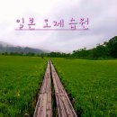 6월30(화)~4/가장 짧고 편안한 코스로의 오제트레킹&amp;반다이고원 5색호숫길[KAL/4박] 이미지