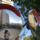 함허동천 시범야영장 | 함허동천 야영장 백패킹 후기 및 마니산 등반 참성단 방문 2017.8.26~27