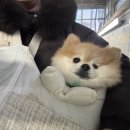 제일로 53번길 네이버블로그