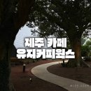 대건웍스건축사사무소 | 제주 유지커피웍스 후기｜제주 감성을 담은 건축미가 돋보이는 카페