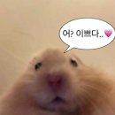 광안3-101 | 부산 2,3일차 | 광안제일돼지국밥 김유순대구뽈찜 초필살돼지구이 볶는집 까사부사노 해운대