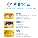 [부산 여행] 부산 광안리 여행 기념품 추천 &#39;갈매기 샌드&#39;
