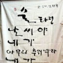 술시 이미지