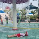 별솔공원 이미지