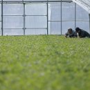 황토목장 이미지