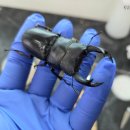 (주)한랩 이미지