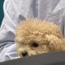 포카드홀덤 이미지