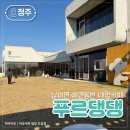 푸르댕댕 | 청주 애견동반 대형카페 푸르댕댕 5번째 방문 후기