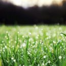 대관령마루길 이미지