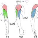 짐퍼스트올림픽공원