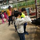 영광목장 이미지