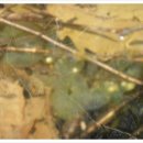 신덕카센타 이미지