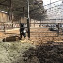 코뚜레목장 이미지