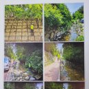 죽전지천 이미지