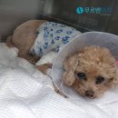 하랑메디컬 이미지