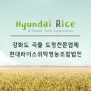 현대 라이스 위탁 영농조합법인 이미지