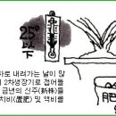 한국춘란 구월(9월)달의 배양과 관리/번식과 단상(931) 이미지
