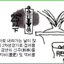 한국춘란 구월(9월)달 배양관리/번식과 단상(796) 이미지