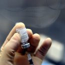 '화이자' 숨진 20대 병사..'백신 부작용 심근염 사망' 첫 인정 이미지