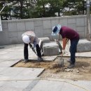 (대진석재산업)종로구낙산공원바닥석재보수 이미지