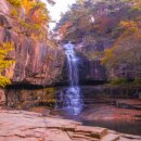 괴산1길 이미지