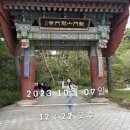 [양평] 용문사, 템플스테이