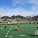 달맞이 이미지