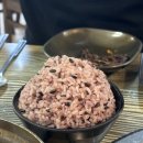 제주돈선생상봉 이미지