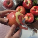 맛있는사과 당도높고 신선한 어나더스윗의 선물용사과 추천