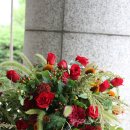 스타일큐브 이미지