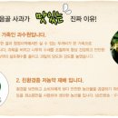 산내과수