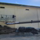 백연골발효차 이미지