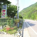 나래민박