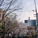 GS25 공덕파크자이점 | 경의선숲길 술집 남녀노소 호불호 없을 공덕한옥요리주점 솜솜 후기