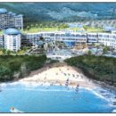 하나콘도 이미지