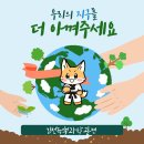 바로새김태권도장 이미지