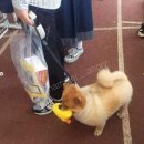 보배펫 이미지