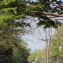 남한강자전거길 21 | 양평가볼만한곳 추천, 물의정원 두물머리 능내역 자전거 코스 후기