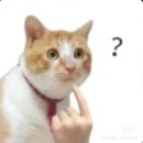 청월당