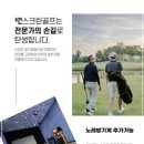 맥스 스크린골프 이미지